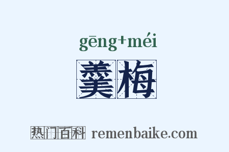 羹梅是什么意思的图片